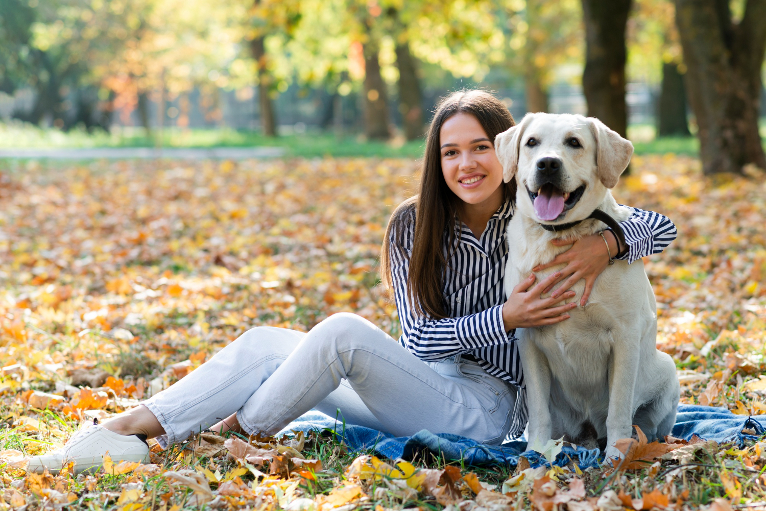 Fiatal nő ölében egy labrador kutyával, őszi falevelekkel borított parkban, mosolyogva pózolnak